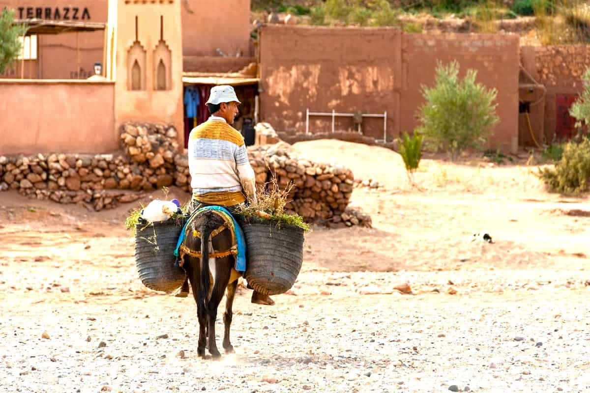 Marrakech to Fes desert tour