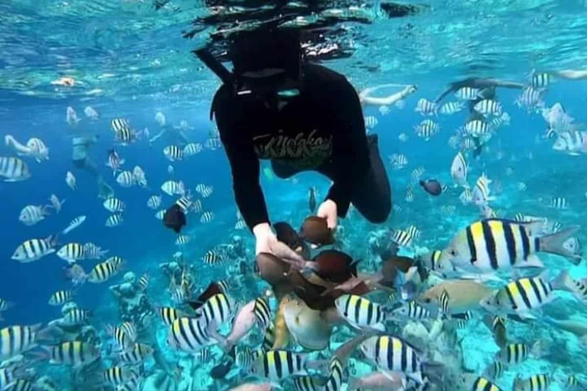 Gili Snorkeling Tour