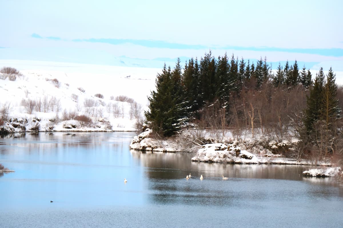 godafoss tour from akureyri