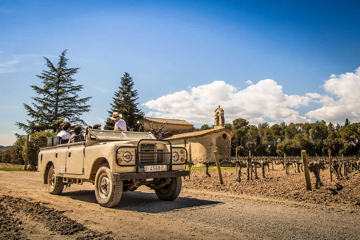 Penedes Wine Tour From Barcelona