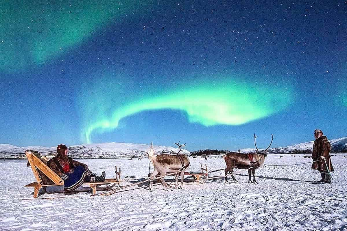 Tromso Reindeer Sledding