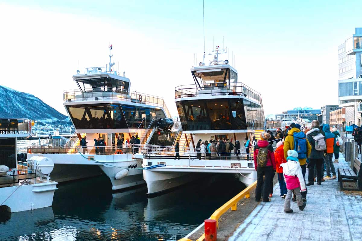 Tromsø Whale Watching Tour