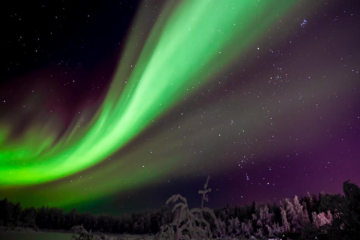 Rovaniemi Northern Lights Tour