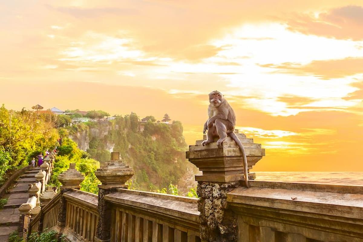 Uluwatu Temple Tour