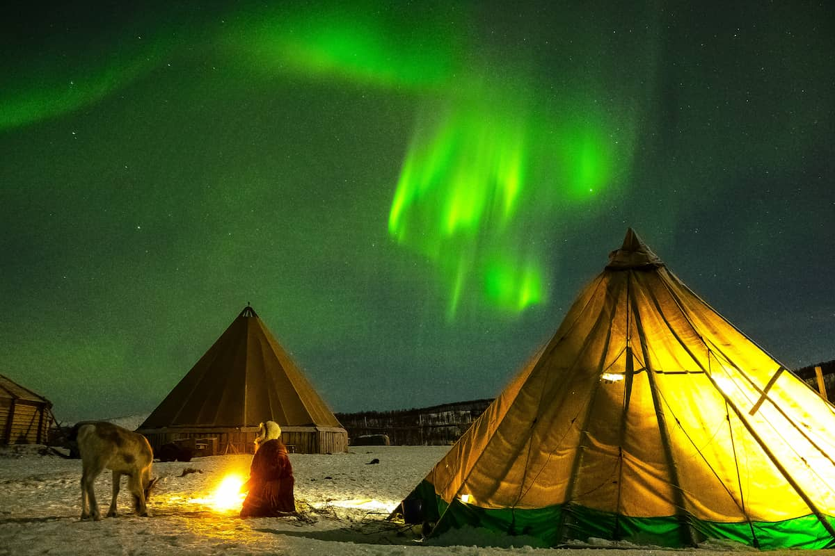 Tromso Reindeer Sledding