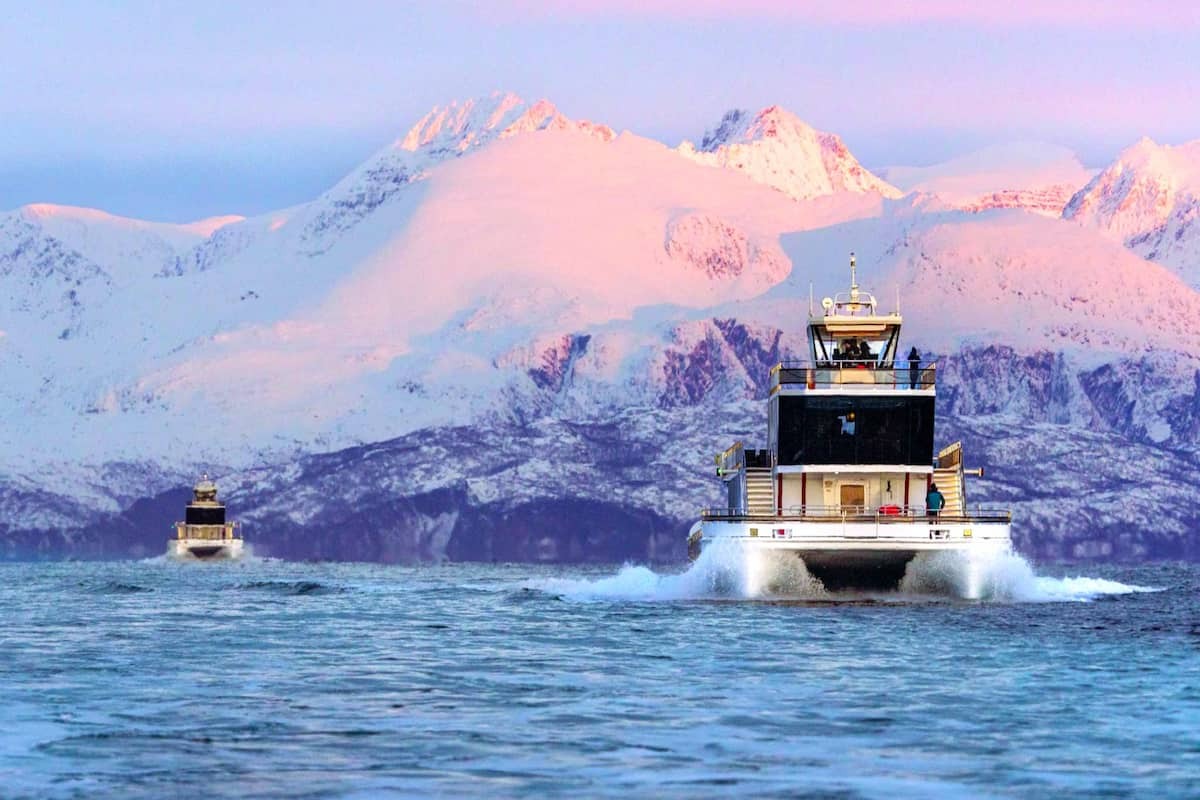 Tromsø Whale Watching Tour