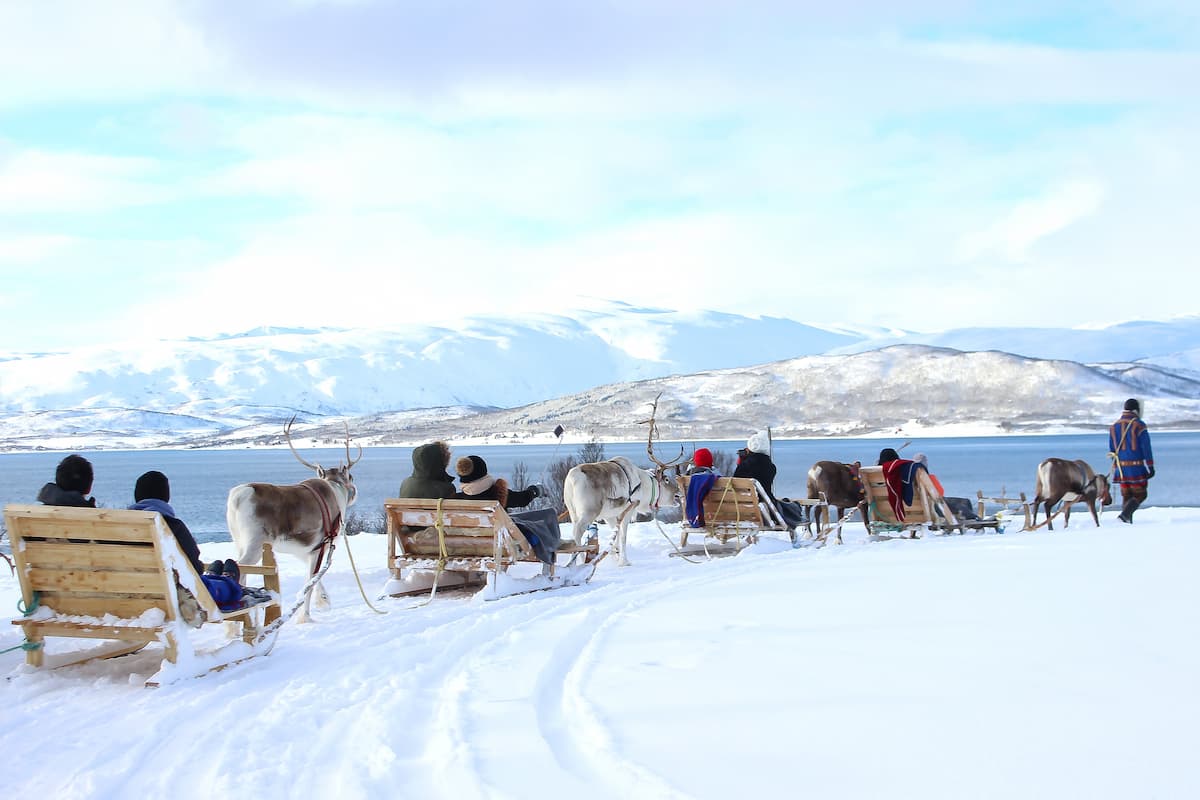 Tromso Reindeer Tour