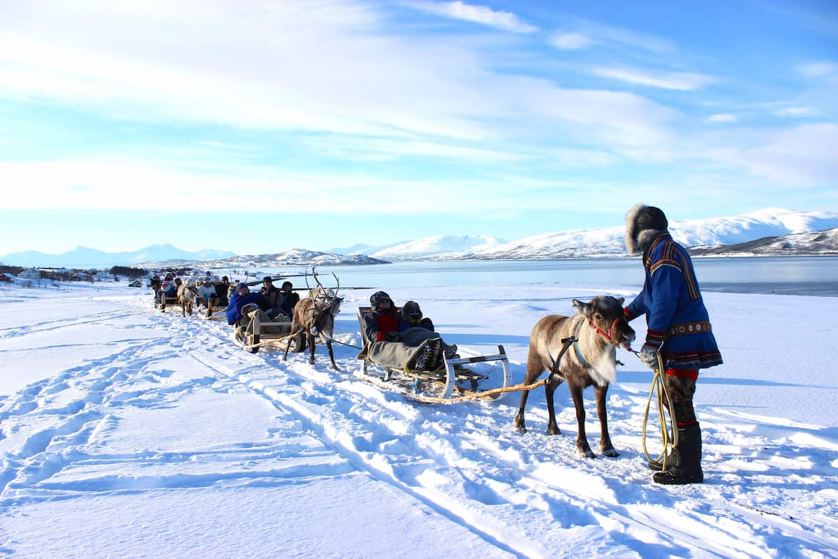 Tromso Reindeer Tour