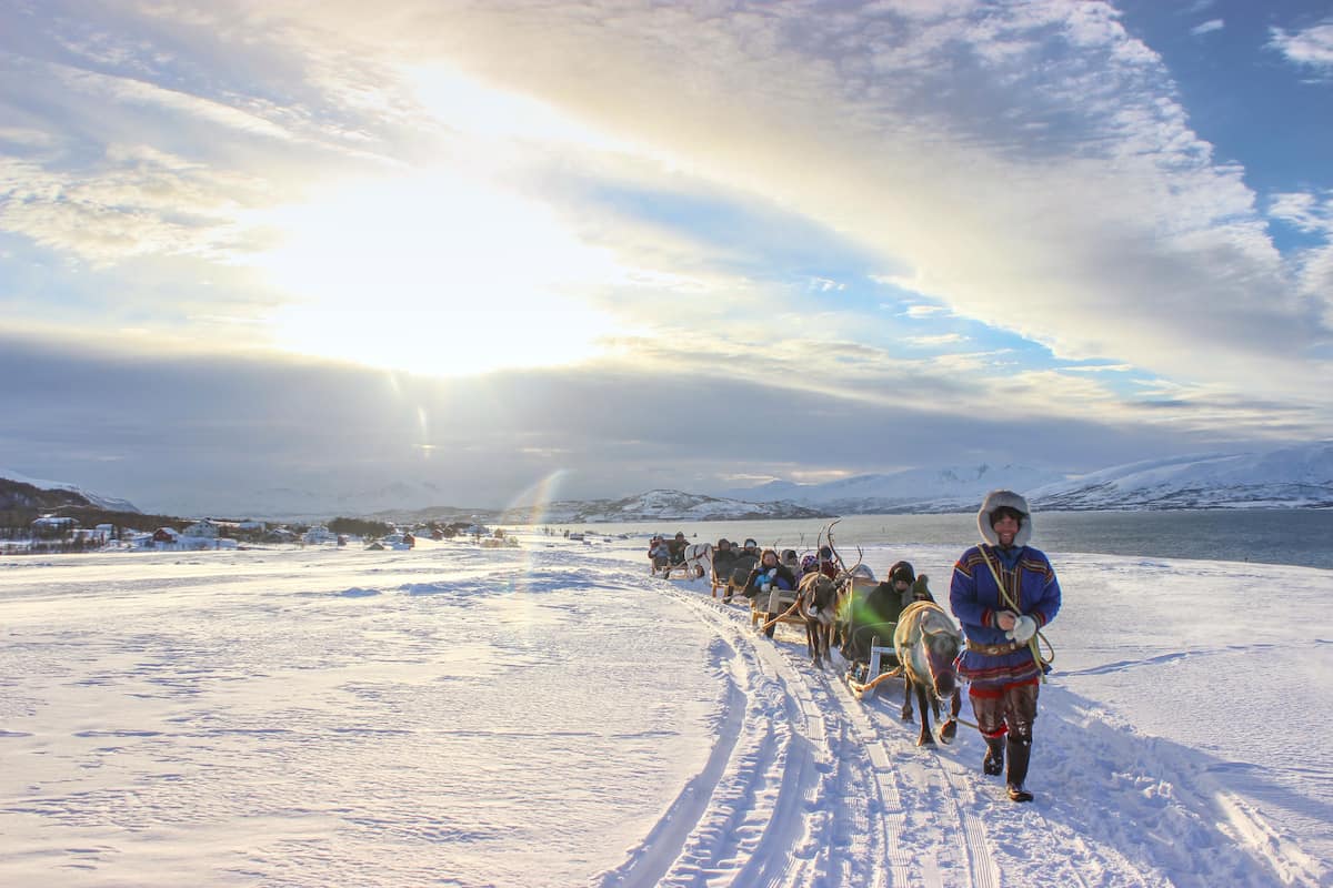 Tromsø Reindeer Tour