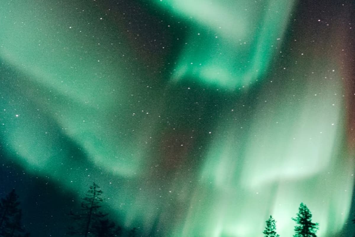 Rovaniemi Northern Lights Tour