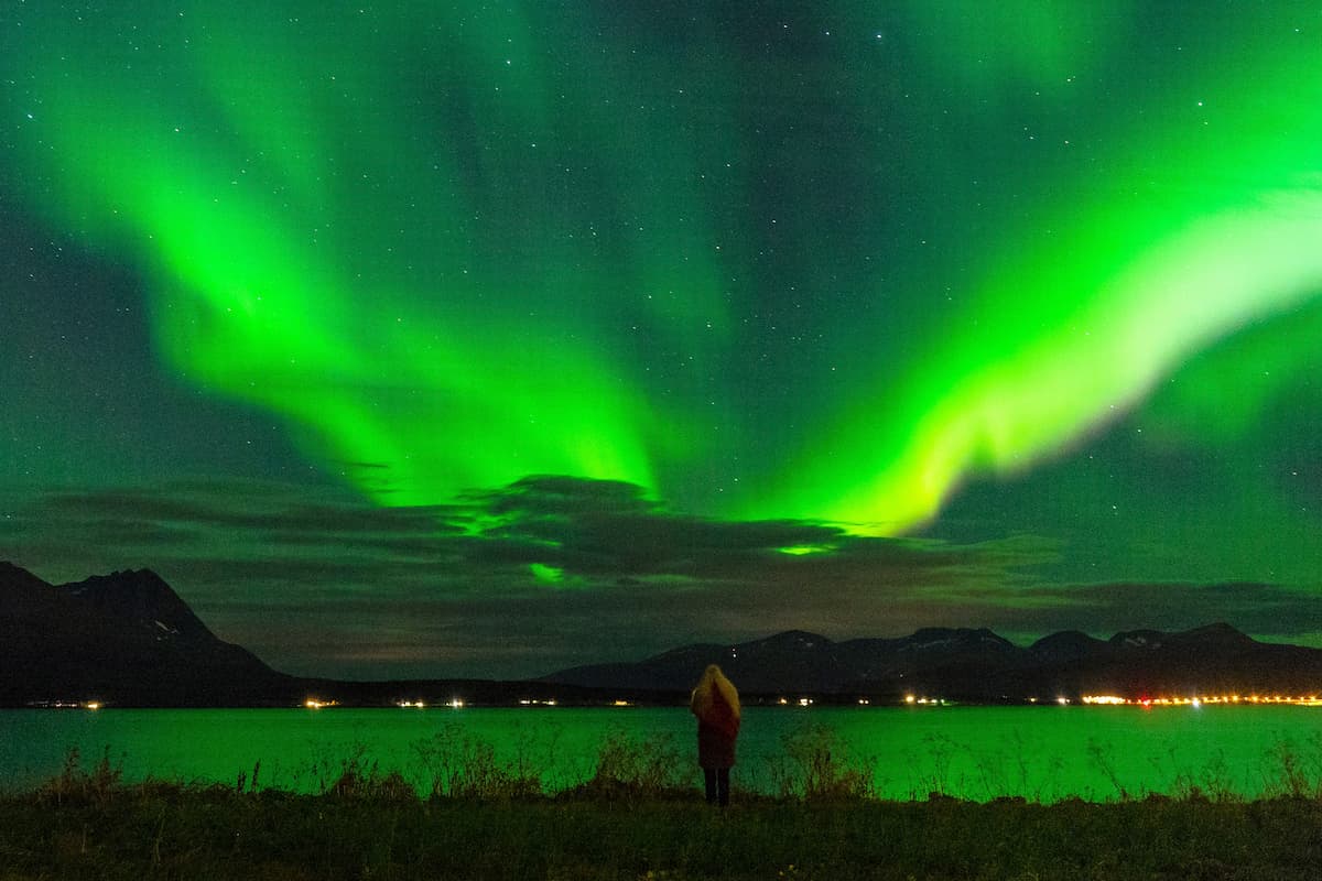 Tromso Reindeer Sledding