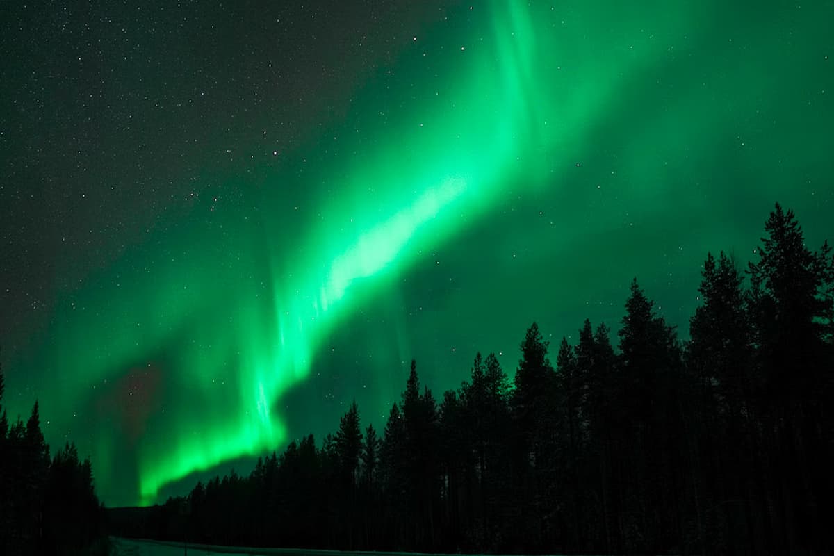 Rovaniemi Northern Lights Tour